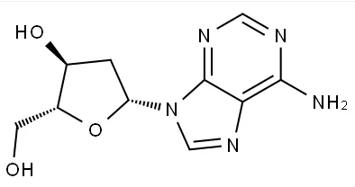 2 '- deoxyadenosine cas nr .:958-09-8